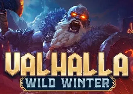 Valhalla Wild Winter