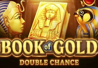 Book of Gold_ Double Chance game thumbnail